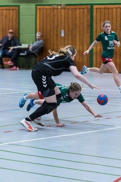 Bild 237 - Damen HSG Kremperheide/M�nsterdorf - Suchsdorfer SV : Ergebnis: 39:22
